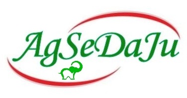 Agsedaju logo